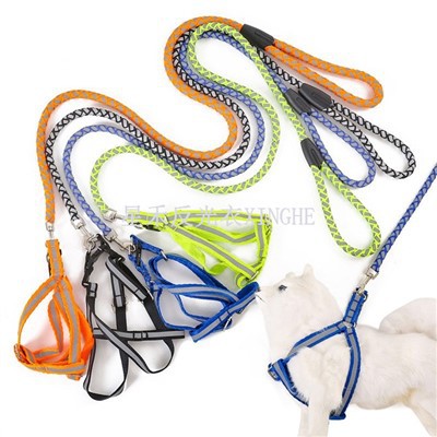 Reflekterende hundebånd til hund