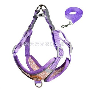 Sikkerhetsreflekshund